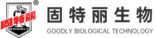 5001拉斯维加斯集团（新加坡）
